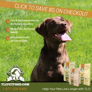 tlc-dog-pic