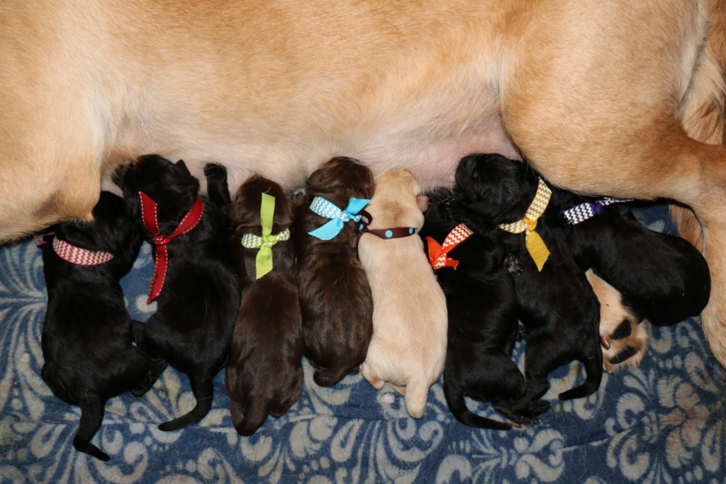 Please contact us for availability.