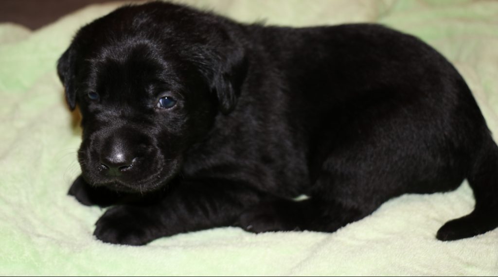 How cute is that....