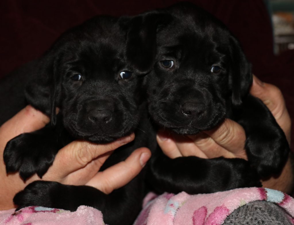 Black Females # 3 to the left and #4 to the right.