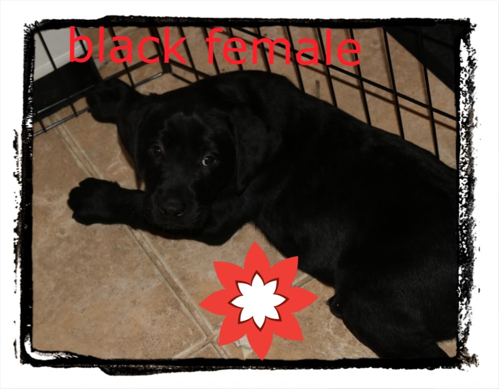 phototasticcollage-2016-11-29-09-29-02