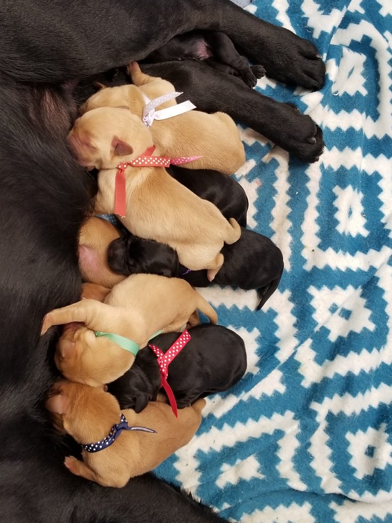 1 day old